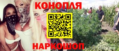 COCAINE Бердск