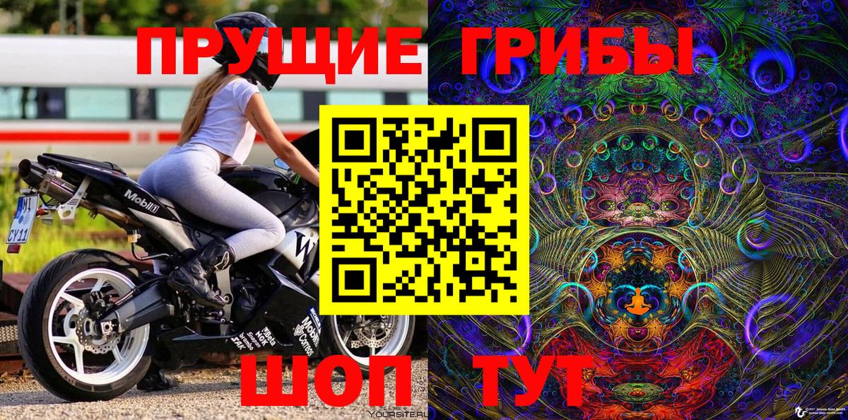Галлюциногенные грибы Cubensis Аргун
